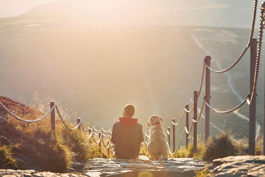 man-together-with-his-dog-sitting-on-pathway-at-sunset-view-from-krkokonse-mountains-czech-republic_t20_kLKawR